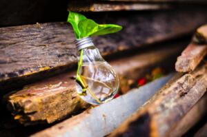 069 gotaagota